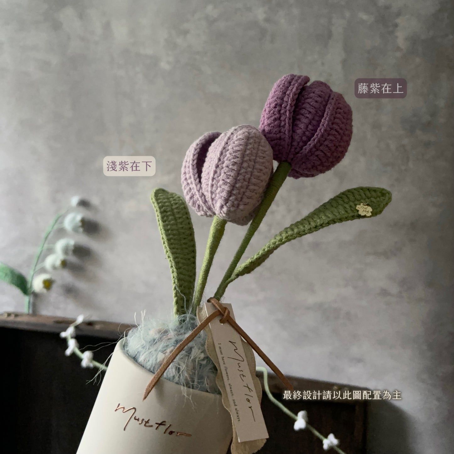 雙色鬱金香盆花 - 仙紫 Tulips - Purple