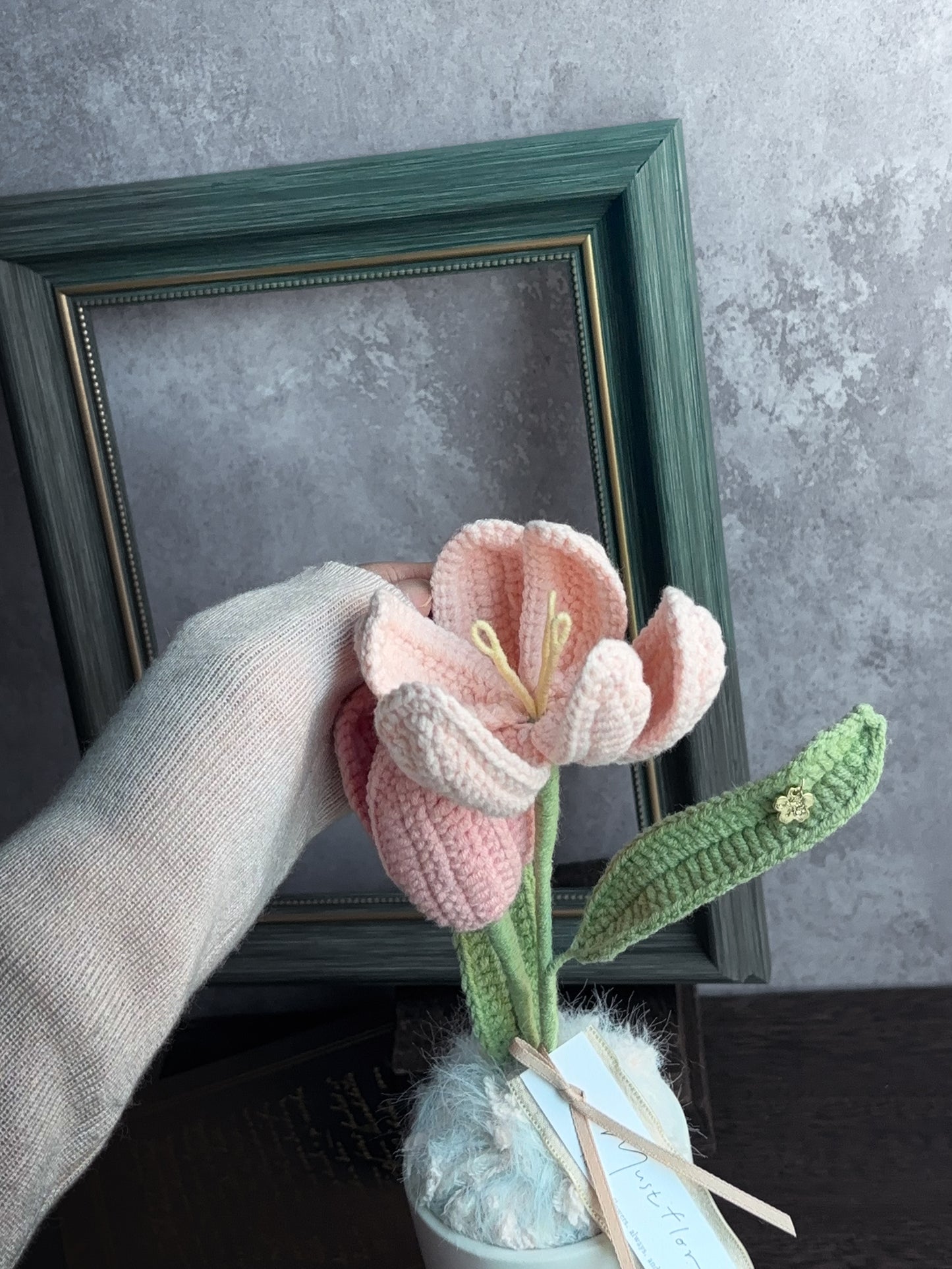 粉韻盆花- 雙色鬱金香/雙色鬱金香與勿忘我盆花 - Tulips Blush pink