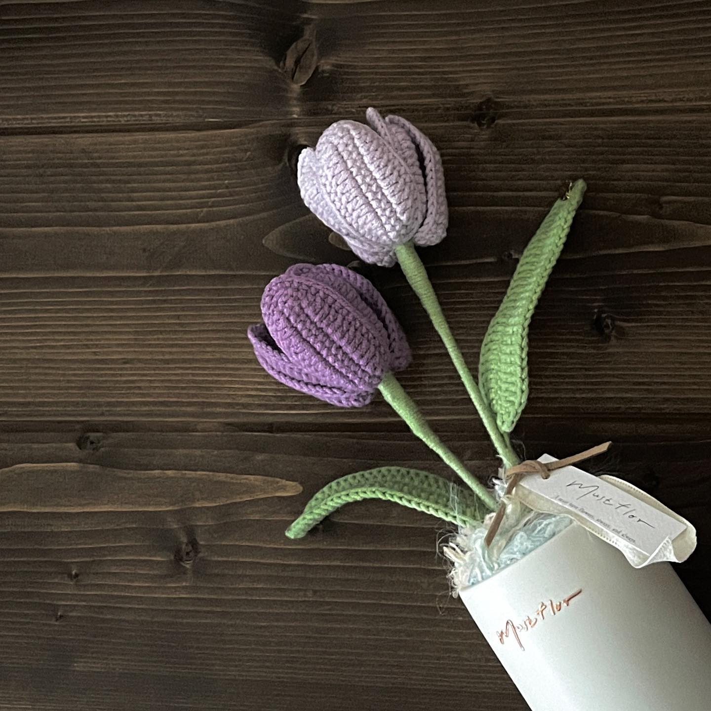 雙色鬱金香盆花 - 仙紫 Tulips - Purple