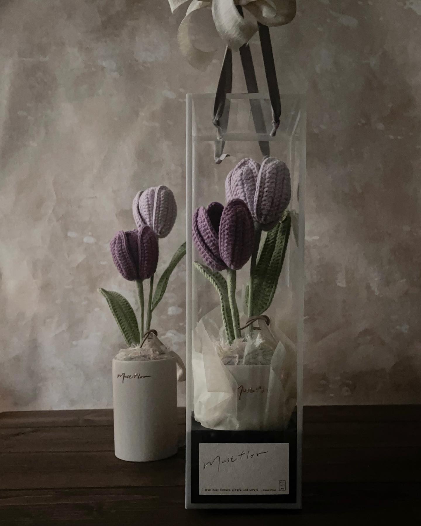 雙色鬱金香盆花 - 仙紫 Tulips - Purple