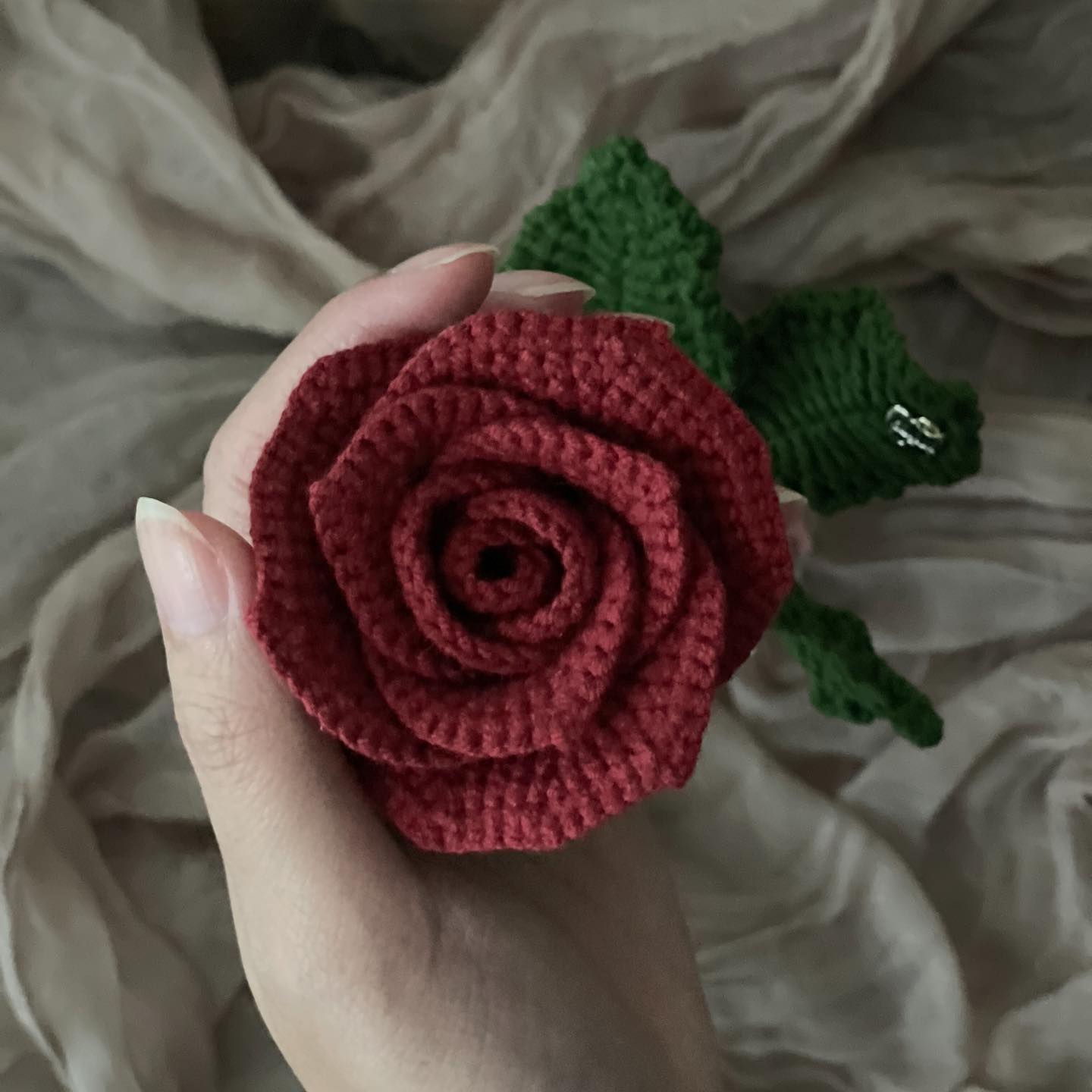 經典酒紅玫瑰盆花 Rose