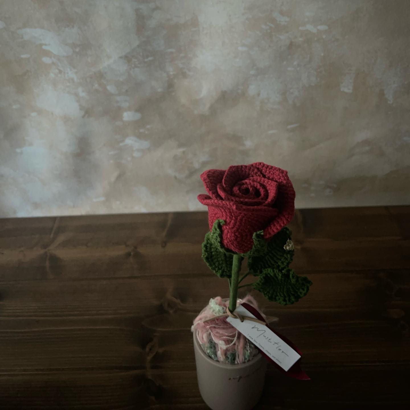 經典酒紅玫瑰盆花 Rose