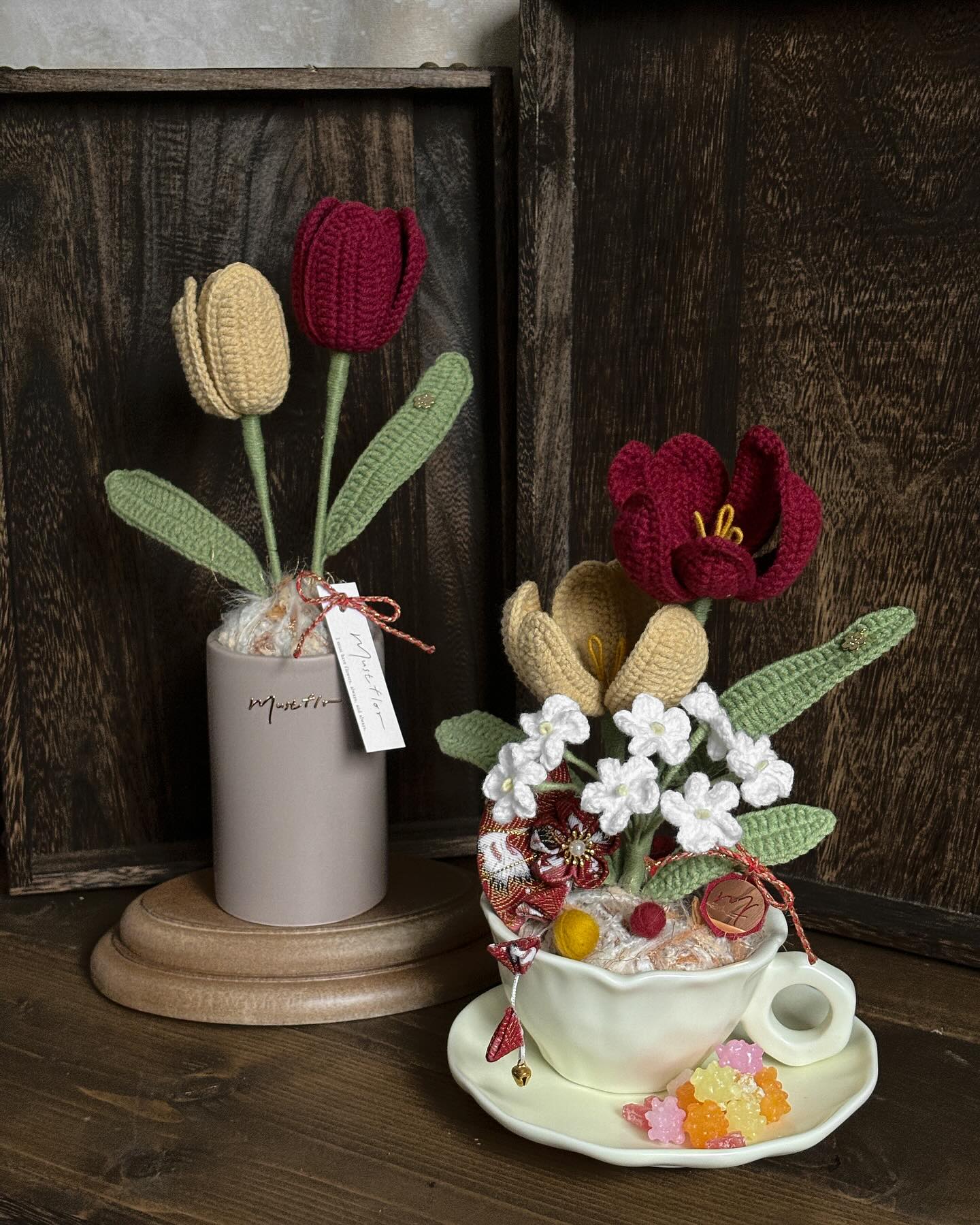 雙色鬱金香盆花 - 酒紅與麥芽 Tulips -Burgundy and malt