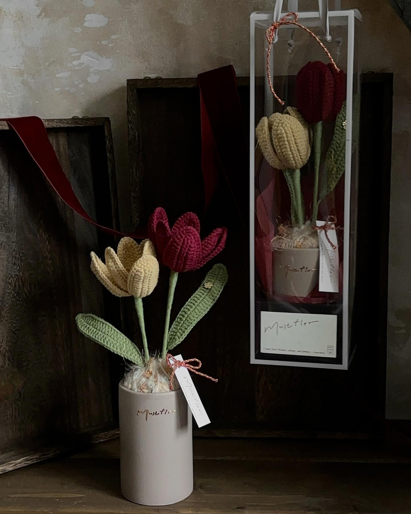 雙色鬱金香盆花 - 酒紅與麥芽 Tulips -Burgundy and malt