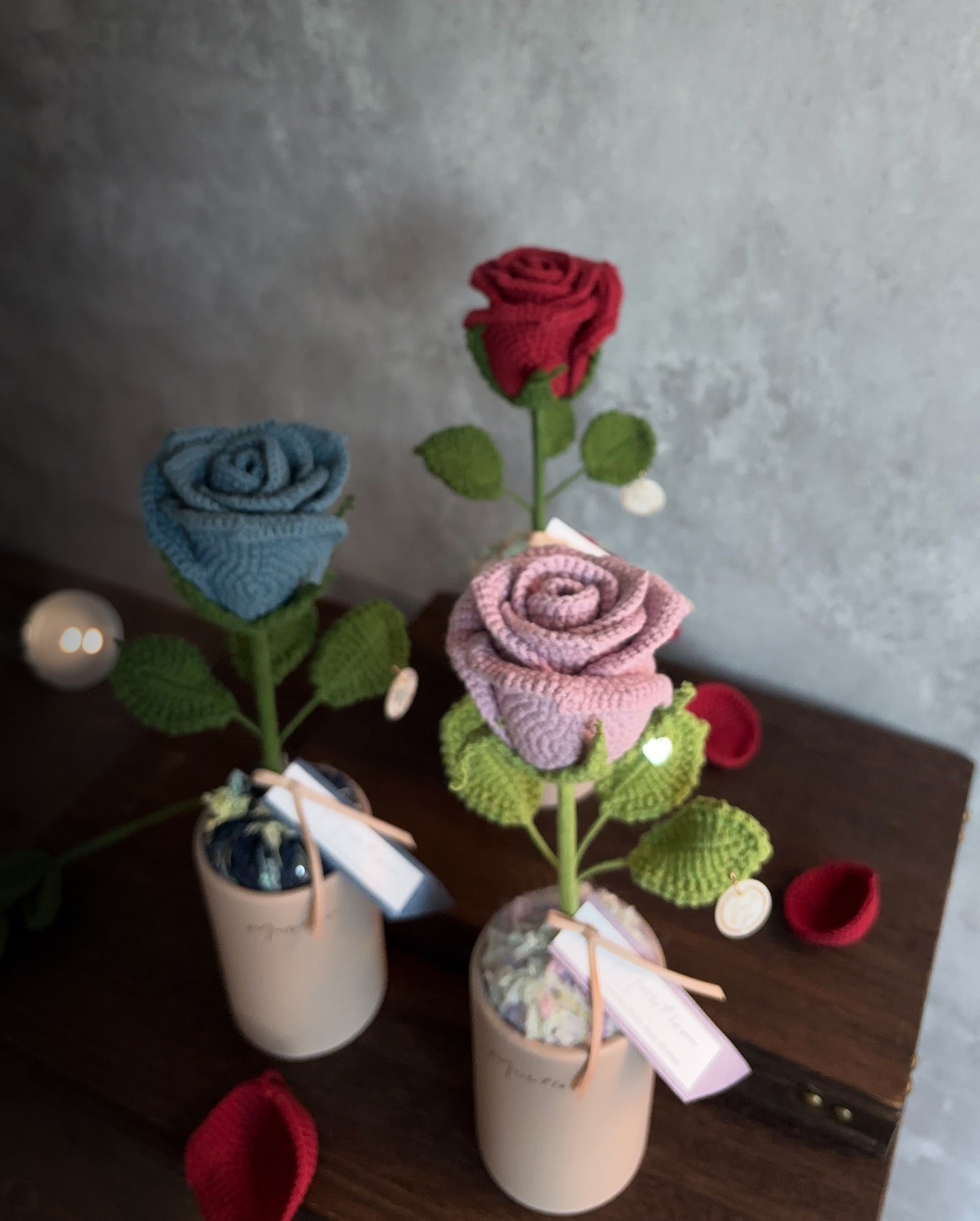 情人節|mf 經典玫瑰盆花⋆ Valentine’s Potted Collection(共三色)