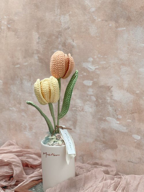 雙色鬱金香盆花 - 暖陽 Tulips - Sunlight
