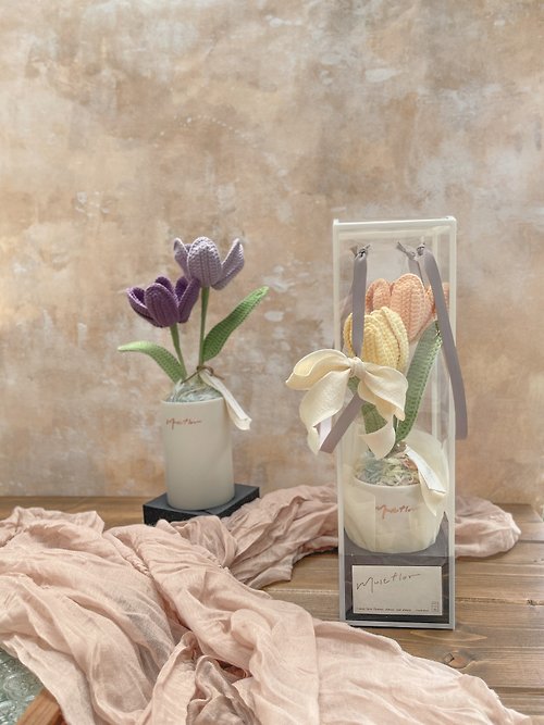 雙色鬱金香盆花 - 暖陽 Tulips - Sunlight