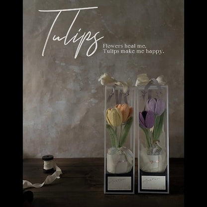 雙色鬱金香盆花 - 暖陽 Tulips - Sunlight