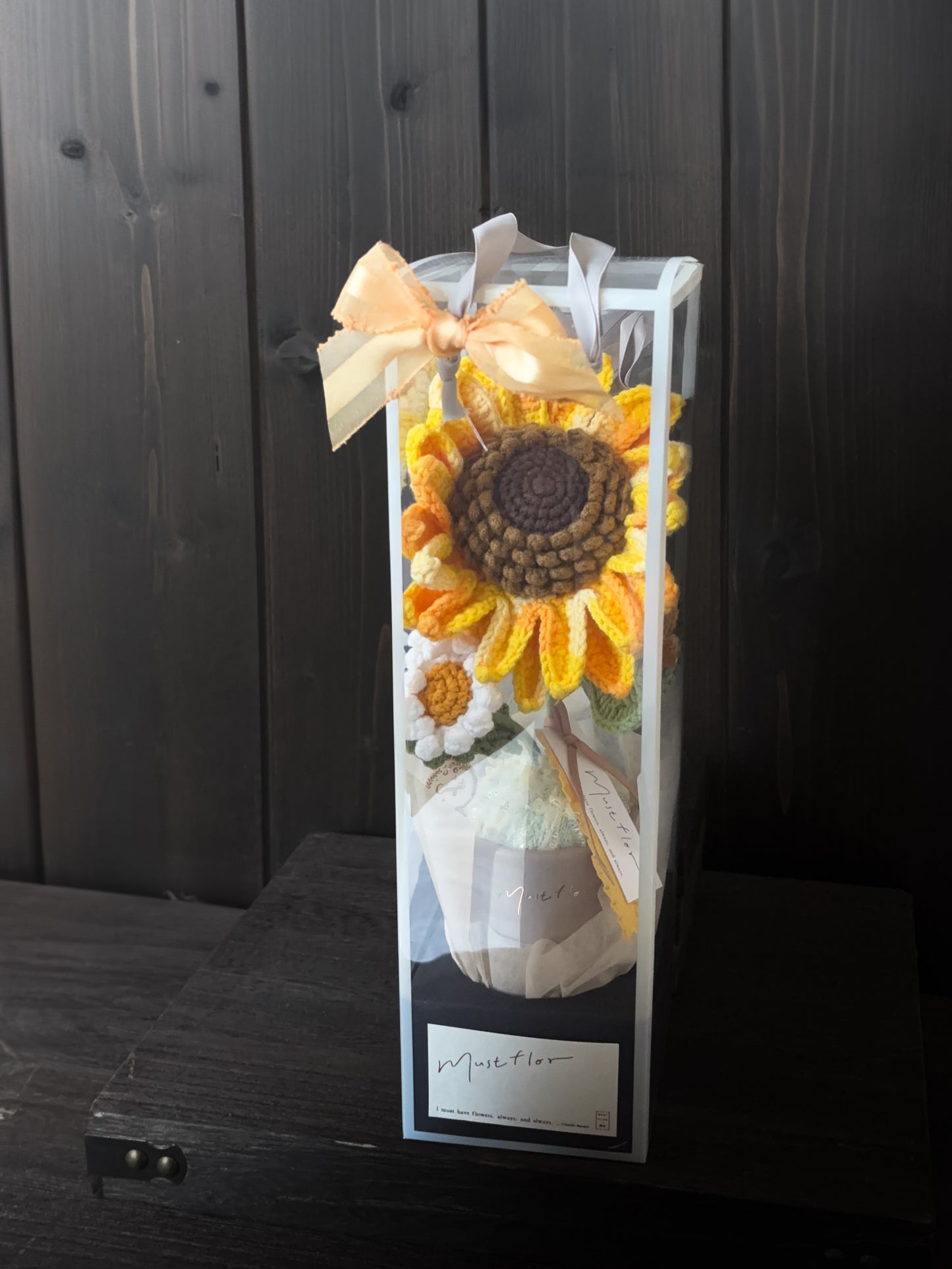 向日葵與小雛菊盆花 - 經典柔芯段染色 Sunflower - Soft Gradient
