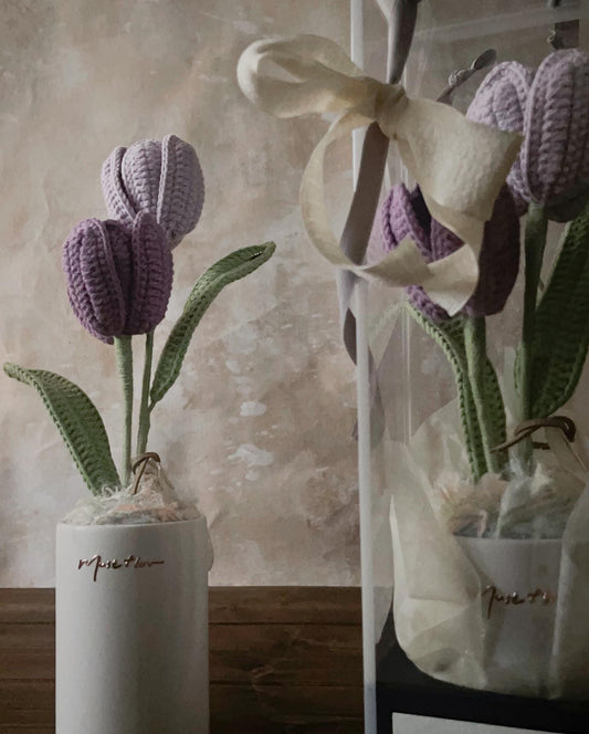 雙色鬱金香盆花 - 仙紫 Tulips - Purple