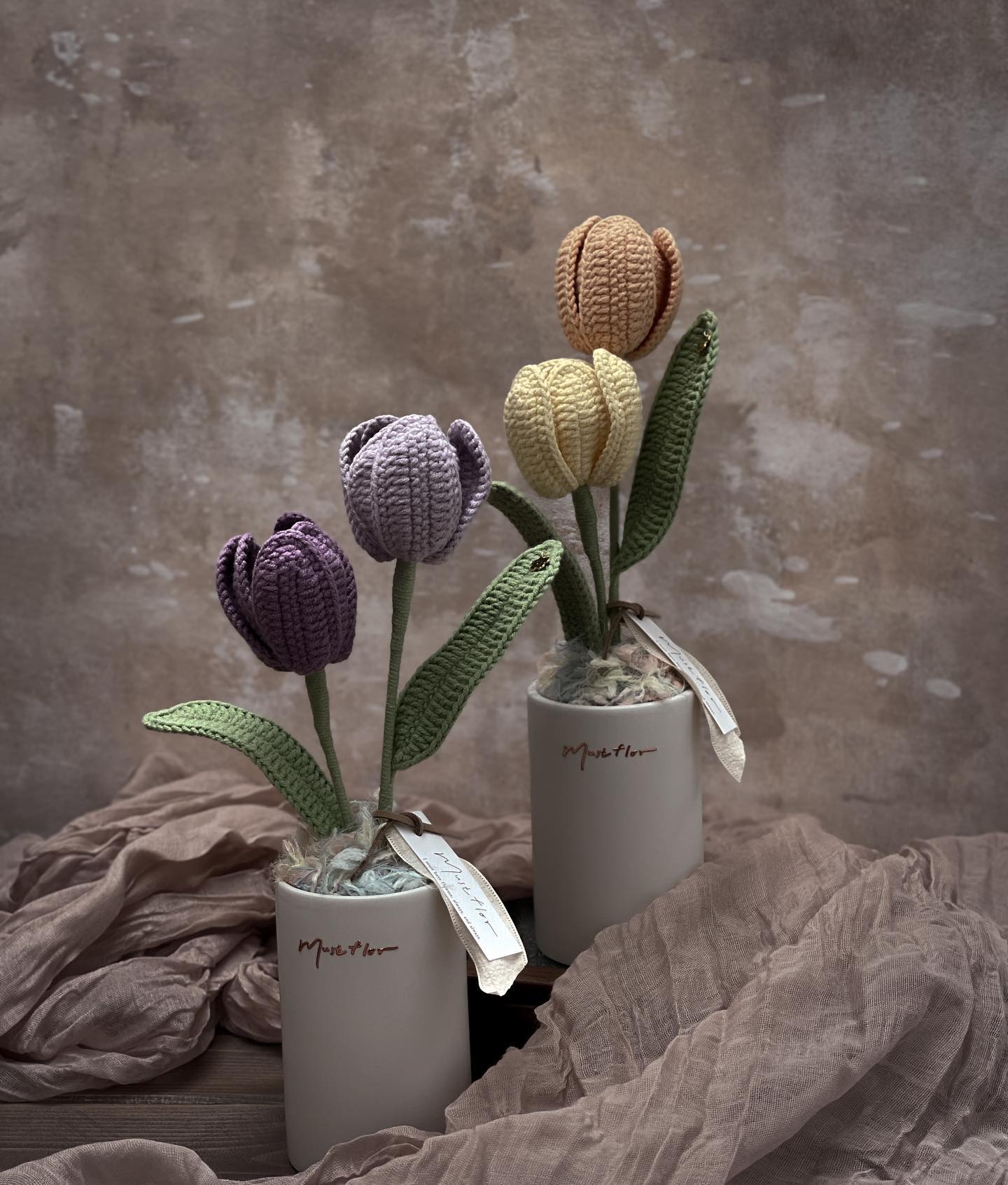 雙色鬱金香盆花 - 暖陽 Tulips - Sunlight