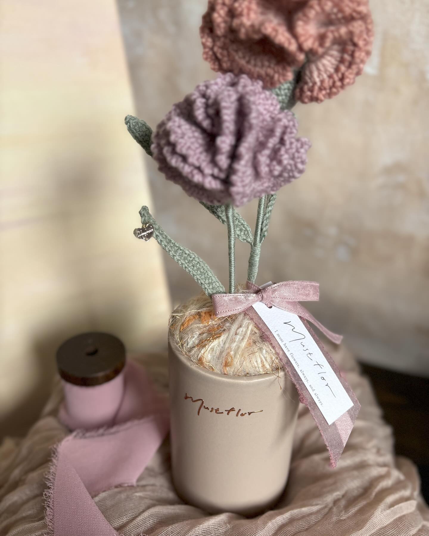 康乃馨盆花-柔粉 Carnation-Pink