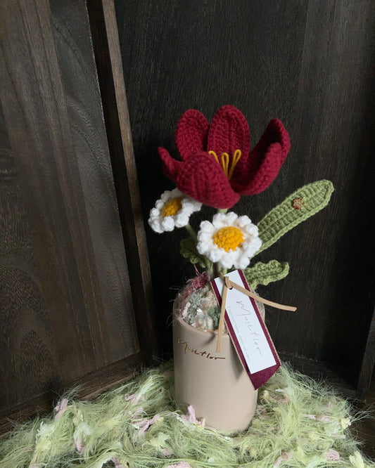 鬱金香與小雛菊盆花 - 勃根第酒紅 Tulip & Daisy - Burgundy Red